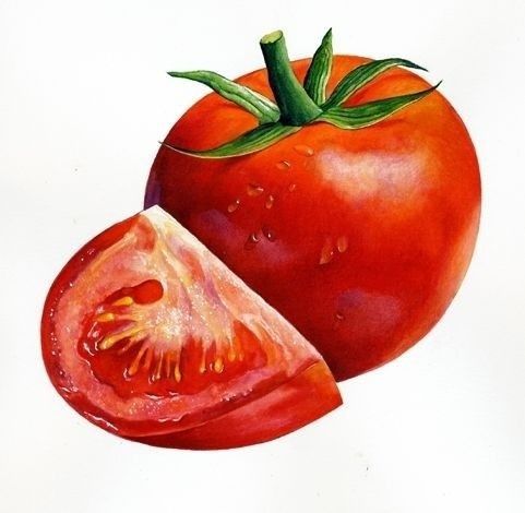 گوجه فرنگی یکی از محصولات بازی هی دی است که برداشت آن 8 امتیاز دارد